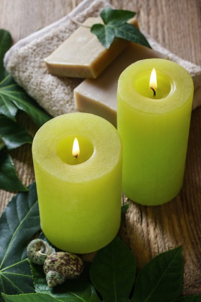 Agnes Kantaruk/Shutterstock.com
