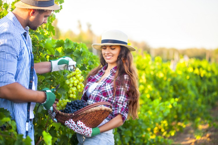 10 Best Paying Summer Jobs in France for American Students