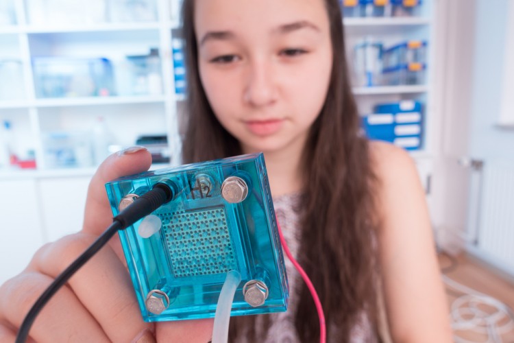 science photo/Shutterstock.com
