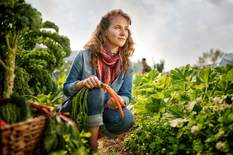 11 Most Profitable Horticulture Businesses to Start