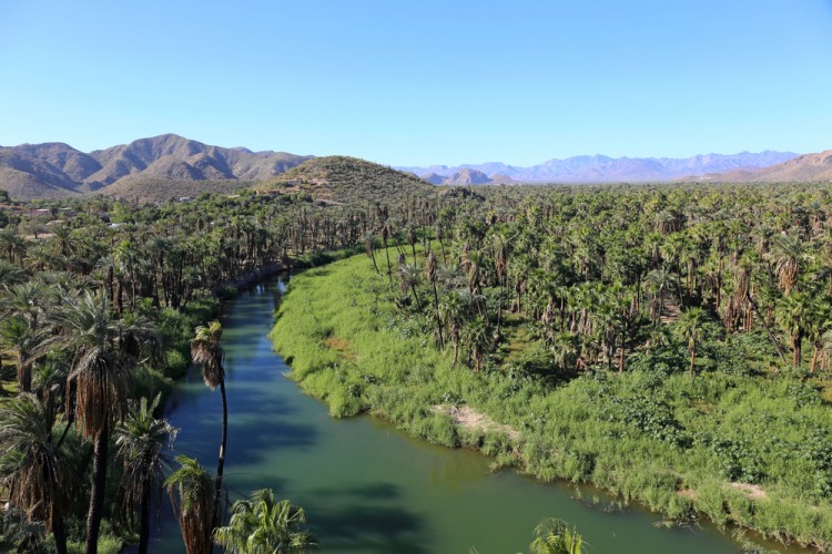 10 Best Places to Retire in Baja Mexico Insider Monkey