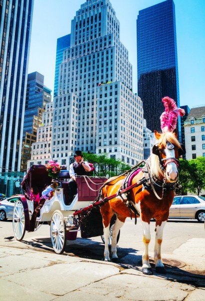20 Best Things To Do In NYC In April